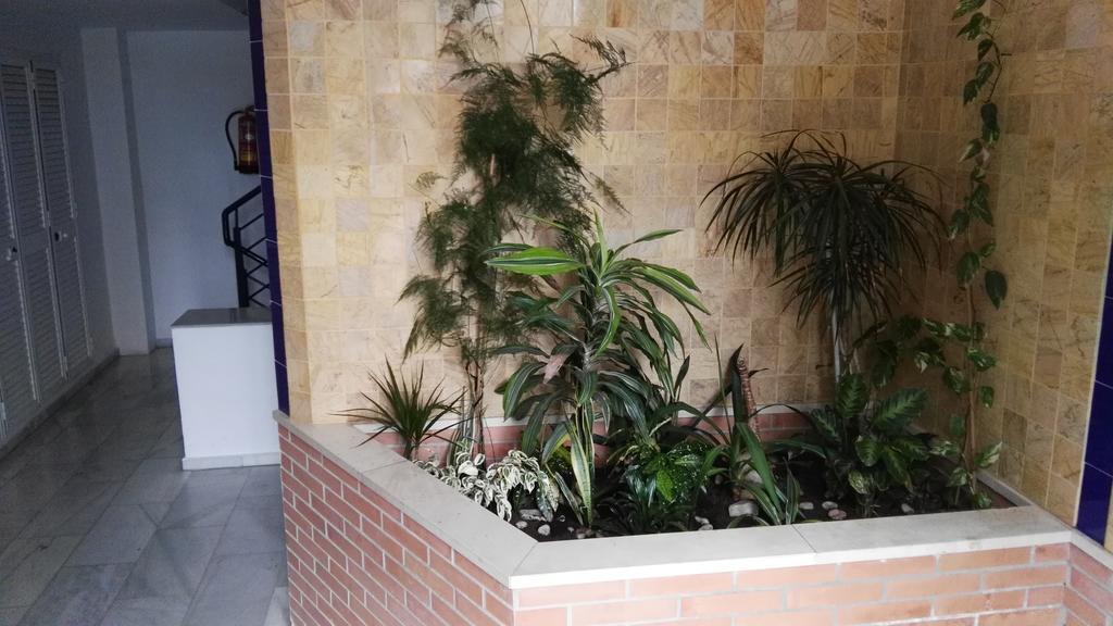 Fan Flat Eugenio (Adults Only) Apartment Malaga Luaran gambar